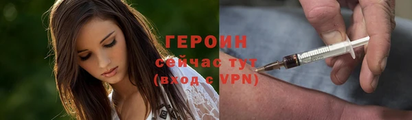 молекула духа Богданович