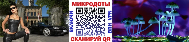 как найти закладки  Кологрив  Псилоцибиновые грибы GOLDEN TEACHER 